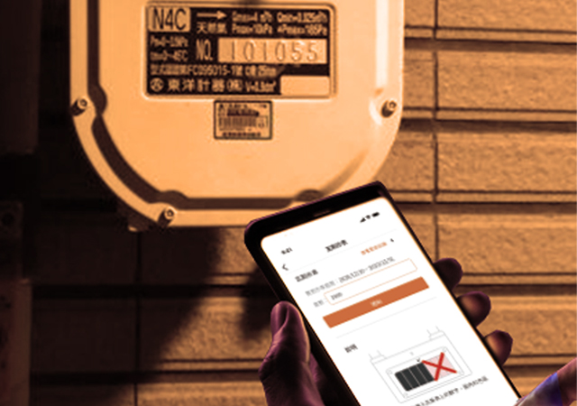 Gas Meter Reporting