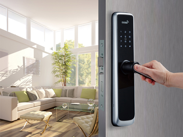 Electronic Smart Locks